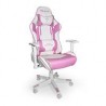 SILLA OCELOT GAMING OSR-05  /  VINIPIEL  /  BASE NYLON AJUSTABLE  /  DESCANSABRAZOS 2D  /  PISTON CLASE 4  /  RECLINABLE 90-155 