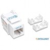 JACK,INTELLINET,210591, CAT 6  DE IMPACTO (KEYSTONE) BLANCO INTELLINET 210591