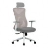 SILLA ERGONOMICA ACTECK FLOE PRO EC737  /  INCLINACION 35 GRADOS  /  MARIPOSA CLASE 4  /  MAX 120 KG  /  PISTON CLASE 4  /  REPO