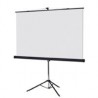 PANTALLA PROYECCION DE TRIPIE MULTIMEDIA SCREEN MST-216, 120 PULGADAS DIAGONAL, MEDIDA 216 CM X 216 CM, FORMATO 1:1, COLOR BLANC
