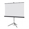 PANTALLA PROYECCION DE TRIPIE MULTIMEDIA SCREEN MST-246, 137 PULGADAS DIAGONAL, MEDIDA 246 CM X 246 CM, FORMATO 1:1, COLOR BLANC